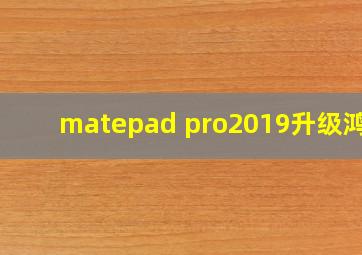 matepad pro2019升级鸿蒙